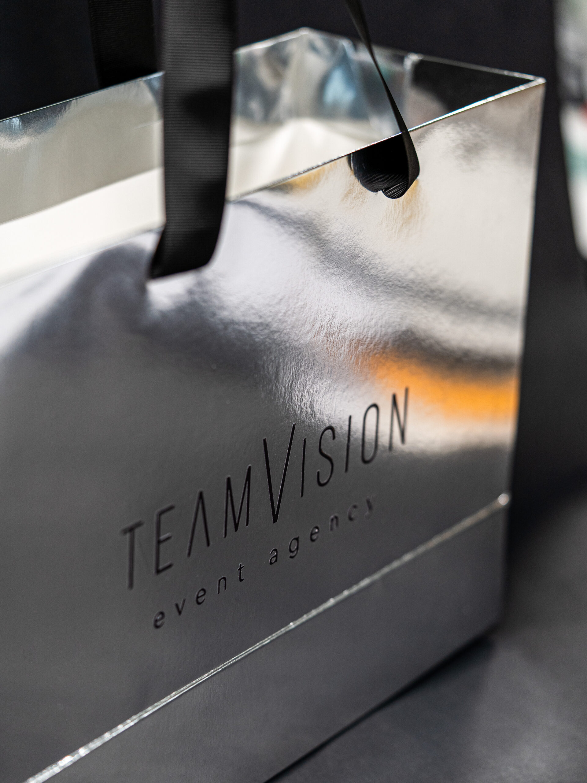teamVision1